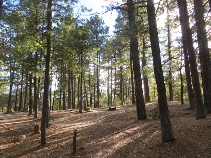 Showers Point Group Site — Showers Point Group Campground