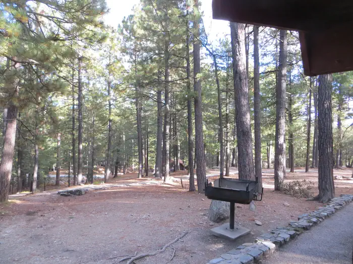 Showers Point Group Site — Showers Point Group Campground
