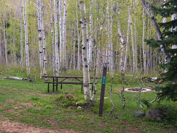 Deer Haven Campground — DEER HAVEN