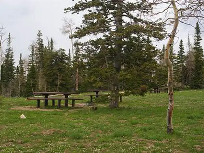 Deer Haven Campground — DEER HAVEN