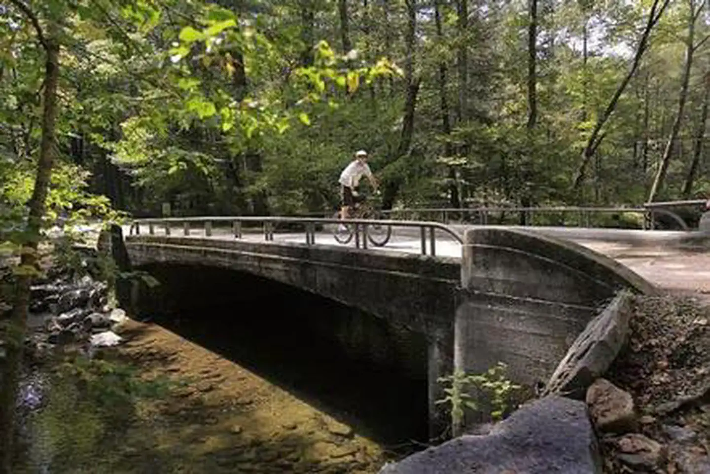 North Mills River — NORTH MILLS RIVER