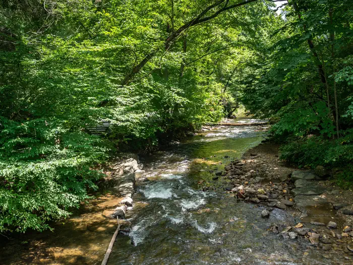 North Mills River — North Mills River