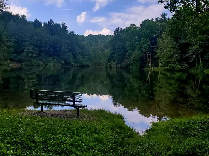 Lake Conasauga — Lakeside Seat