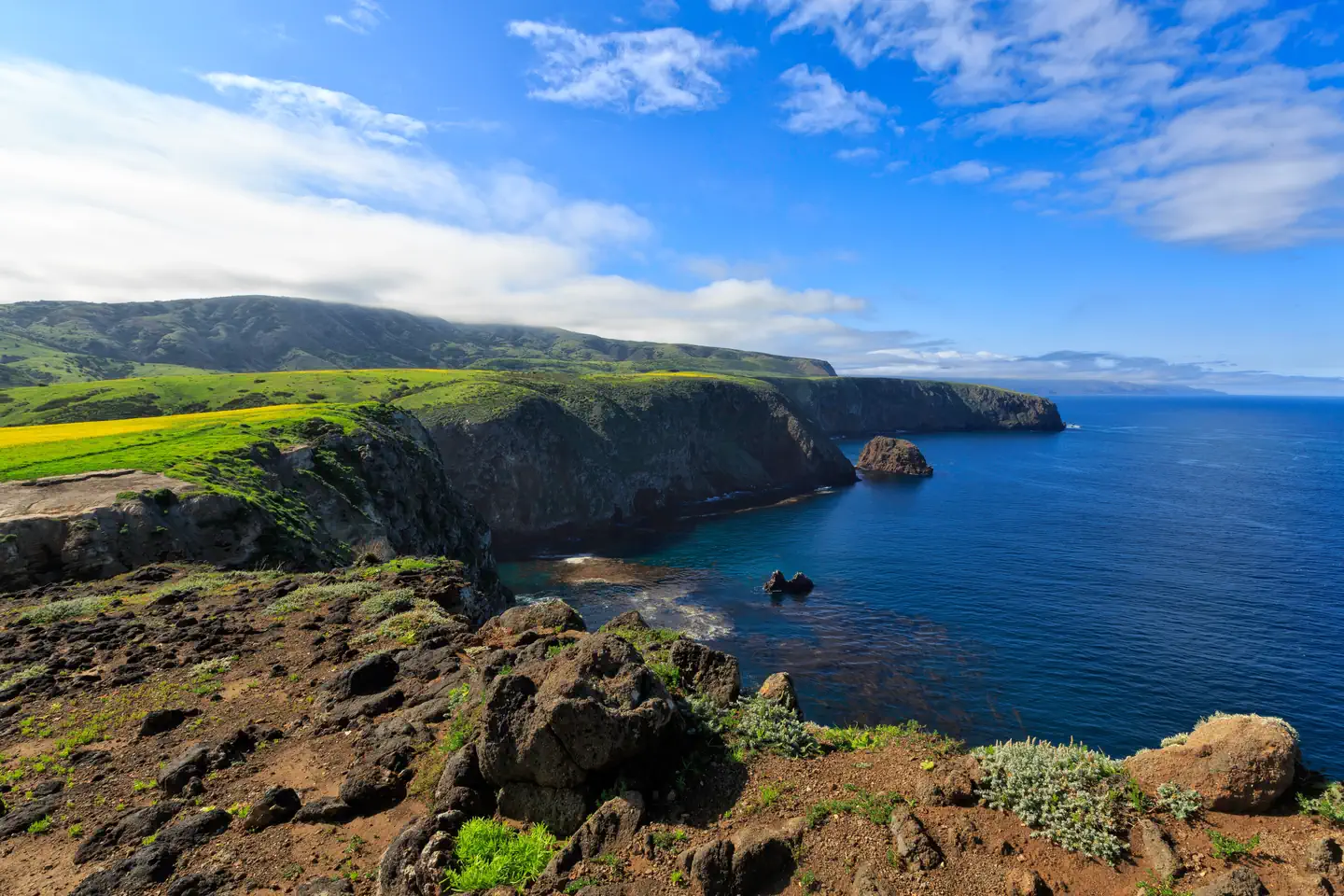 Santa Cruz Island Scorpion Canyon Campground — Coastal bluff overlooking rugged, steep cliffs with ocean below. 