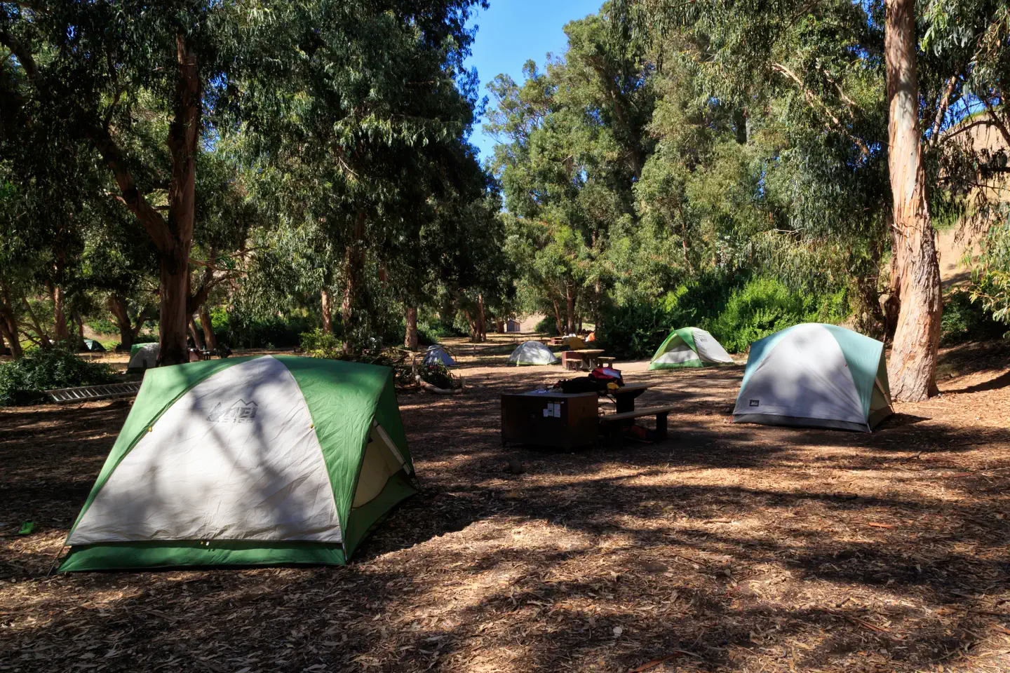 Santa Cruz Island Scorpion Canyon Campground — Tents in forested area. 