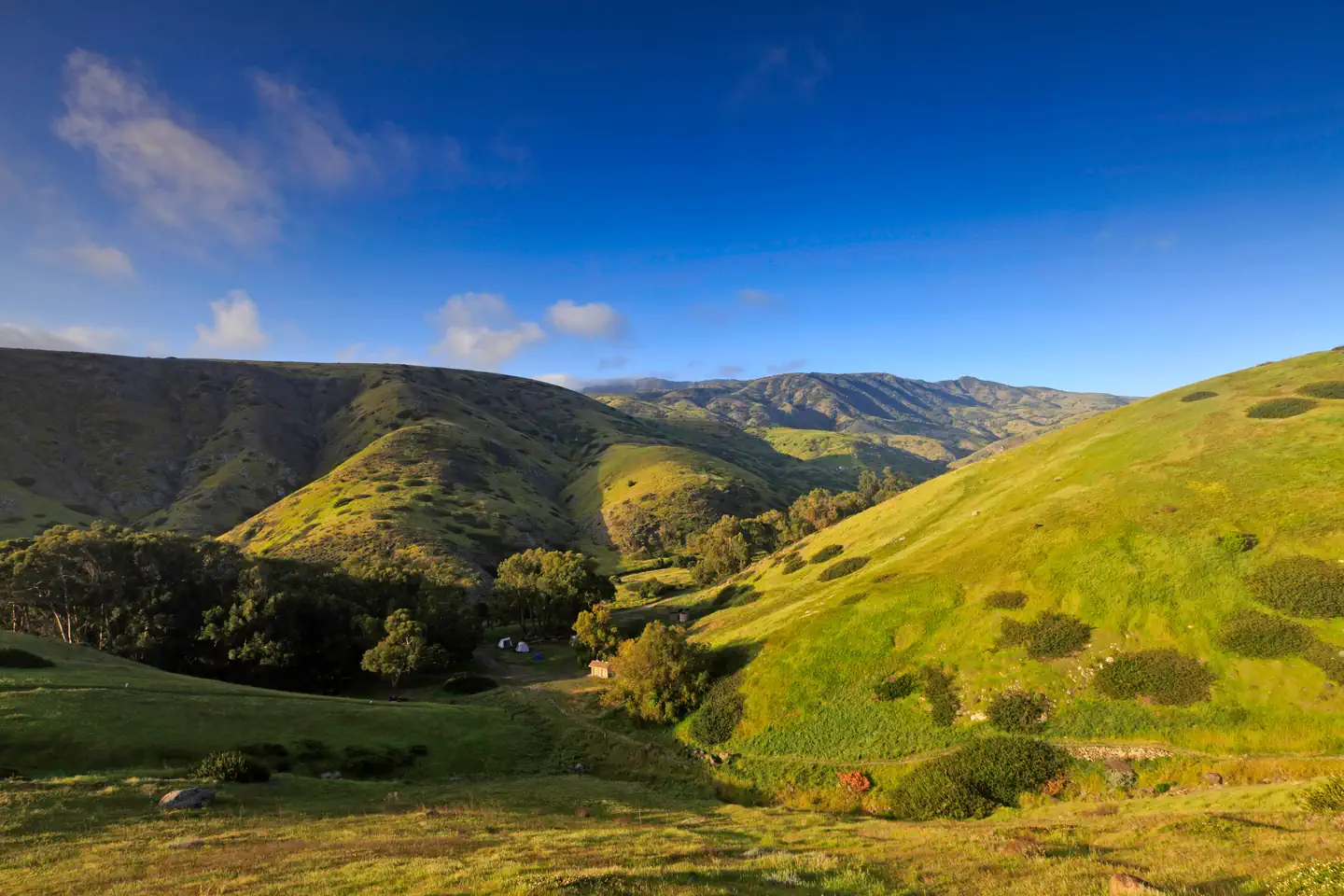 Santa Cruz Island Scorpion Canyon Campground — View of canyon nestled in low rolling, grass covered hills.