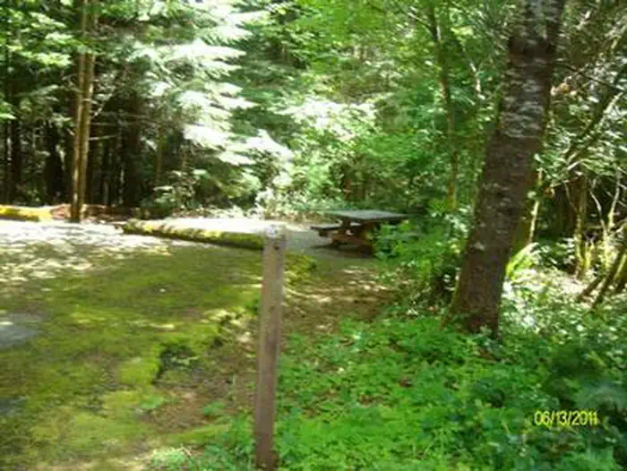 Mona Campground — MONA