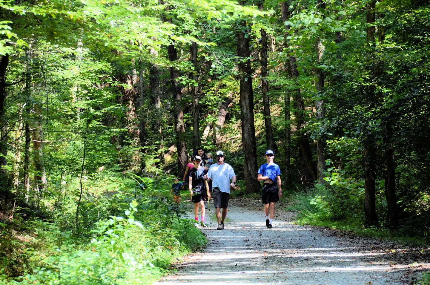 Coopers Furnace Day Use Area (Ga) — Cooper's Furnace Day Use Area, Hiking