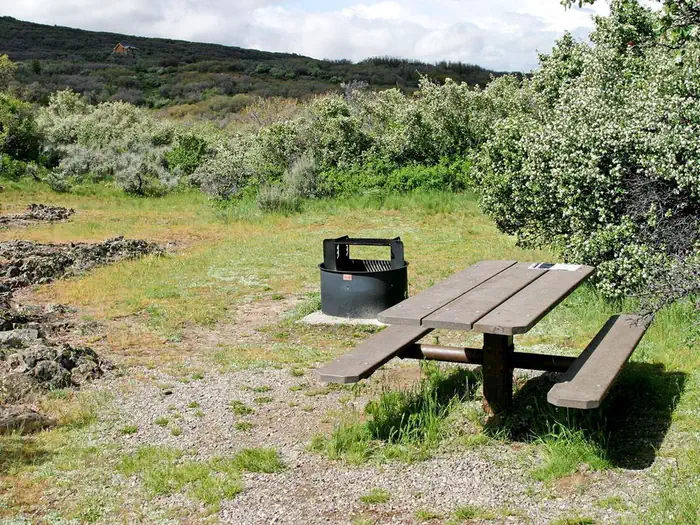 Black Canyon of the Gunnison South Rim Campground  — A campsite at South Rim Campground showing the firepit and picnic table.