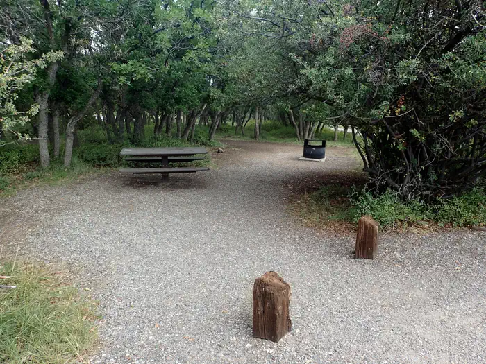 Black Canyon of the Gunnison South Rim Campground  — South Rim Campground standard non-electric site