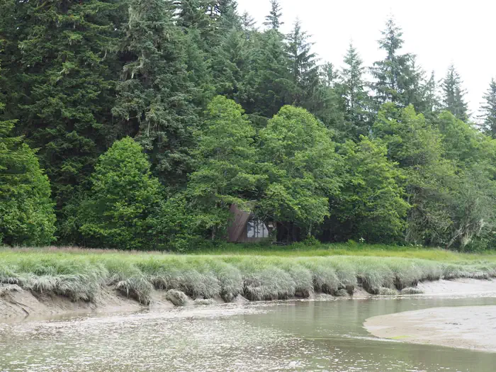 Mallard Slough Cabin — Mallard Slough Cabin surrounded by trees