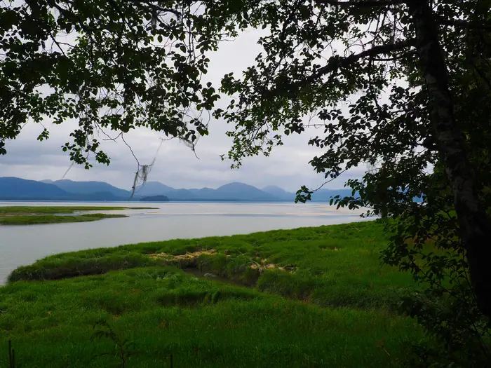 Mallard Slough Cabin — Grass and water with mountains behind and a tree in foreground