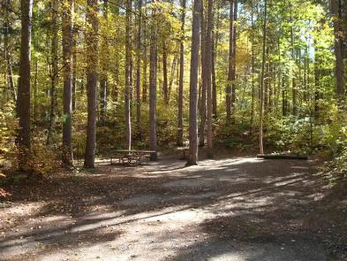 Norway Beach - Chippewa Campground Loop — NORWAY BEACH LOOP