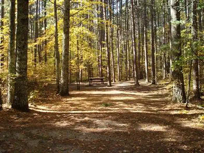 Norway Beach - Chippewa Campground Loop — NORWAY BEACH LOOP