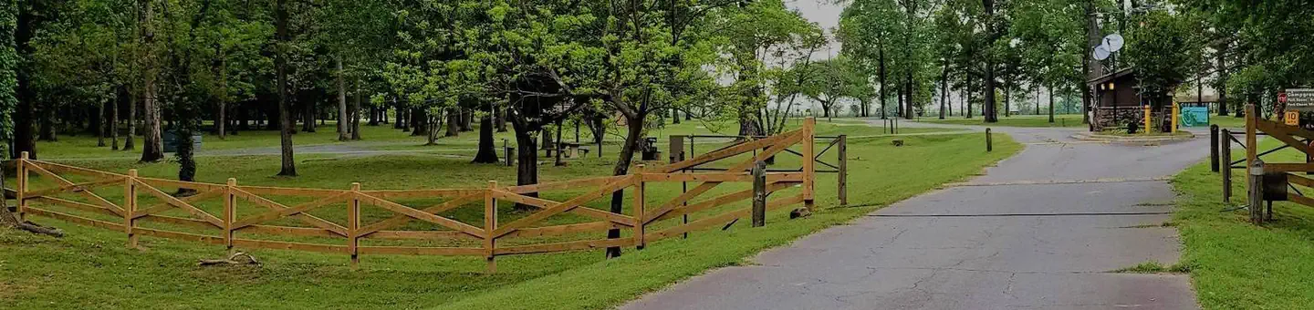 Rising Star