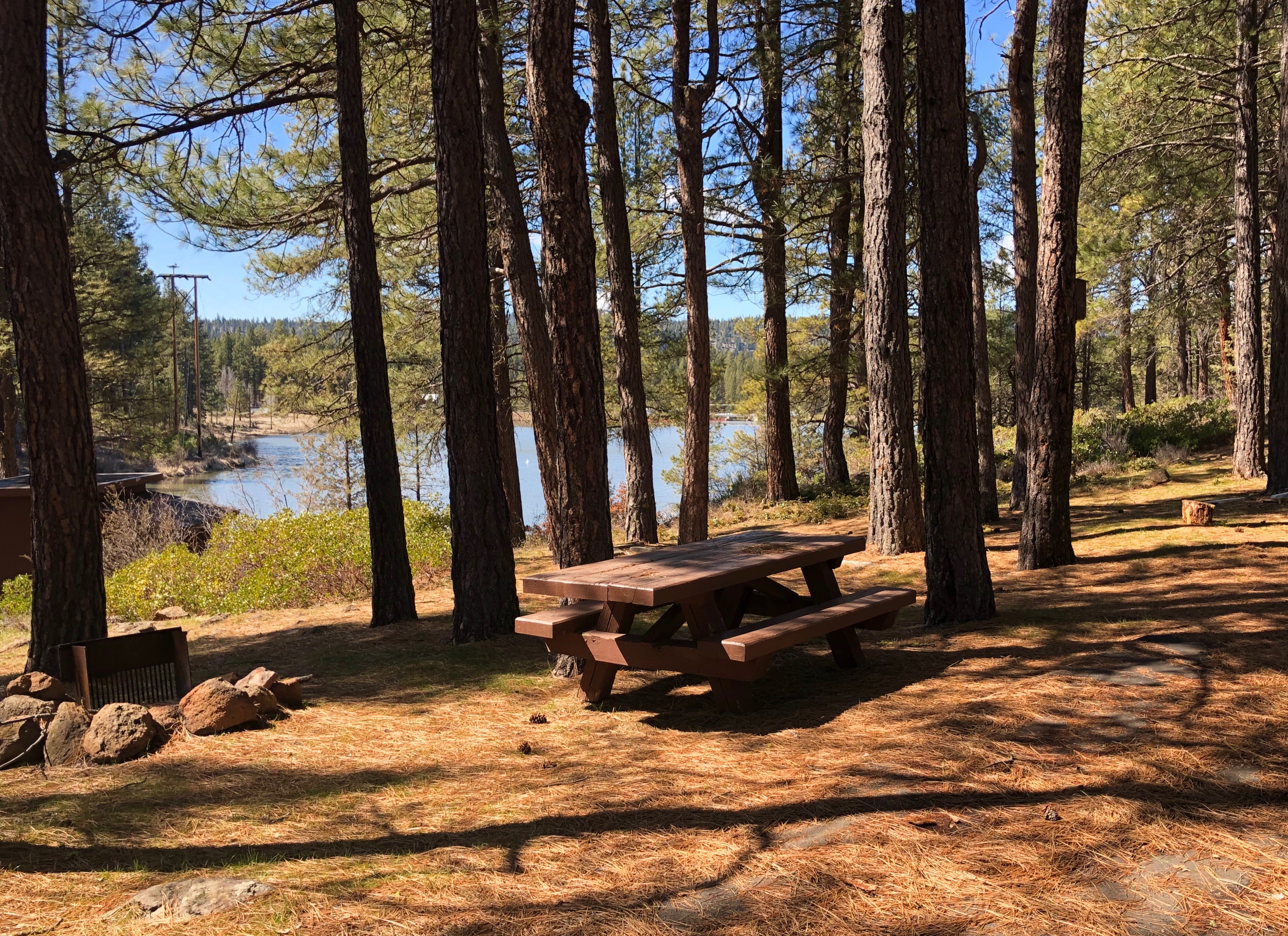 Topsy Campground β Campsite at Topsy Recreation Site
