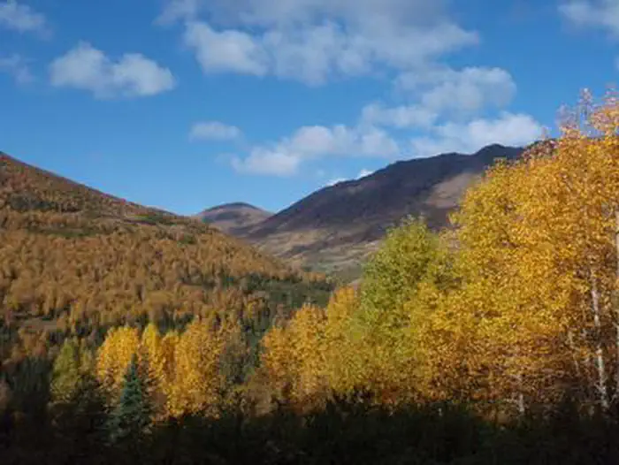 Fox Creek Cabin (ak) — FOX CREEK CABIN