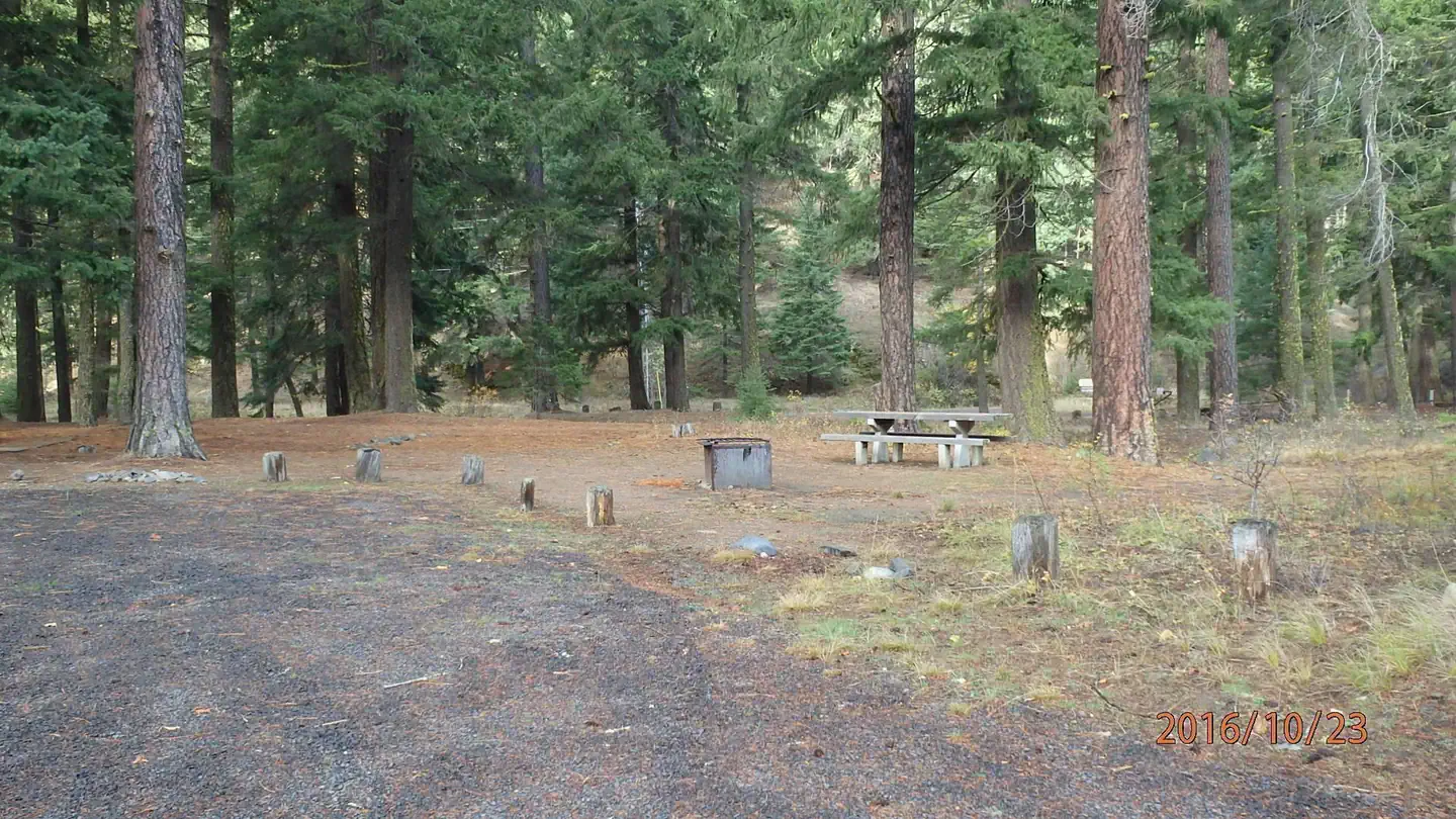 Halfway Flat Campground — Halfway Flat Campground