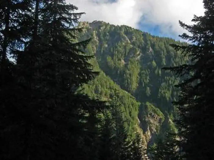 Cougar Rock Campground — COUGAR ROCK CAMPGROUND
