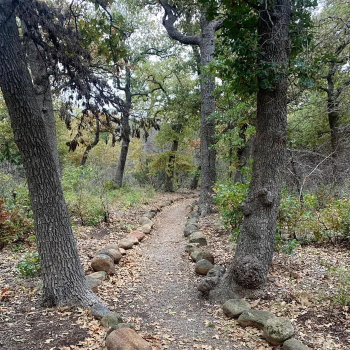Camp Doris — Stones lines the edges of a trail through the woods inviting exploration.