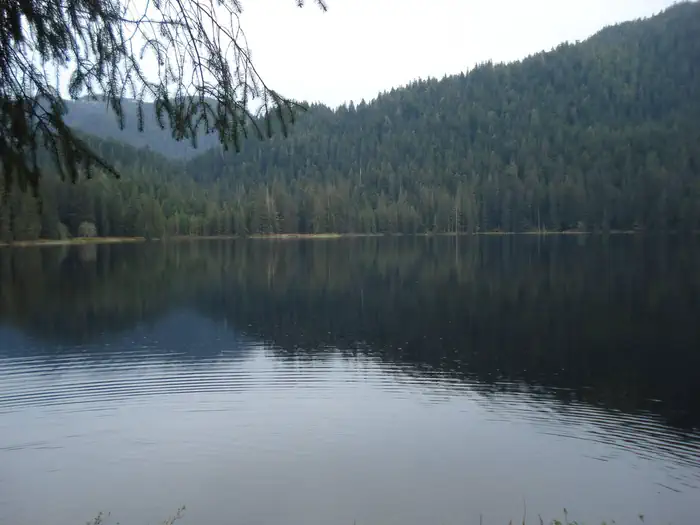 Jordan Lake Cabin — Jordan Lake