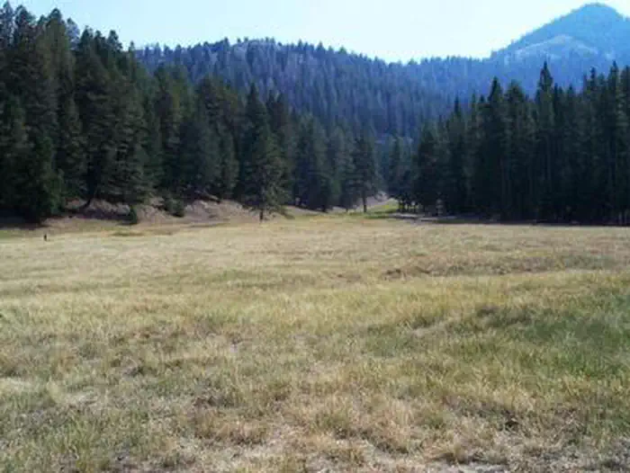 Loristica Group Campground — LORISTICA GROUP CAMPGROUND