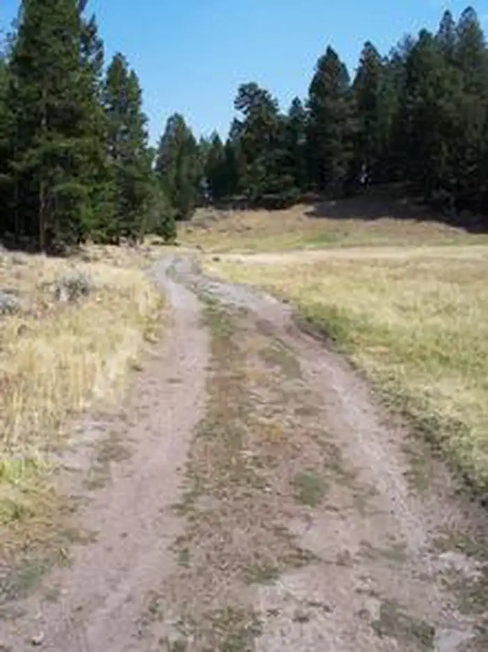 Loristica Group Campground — LORISTICA GROUP CAMPGROUND