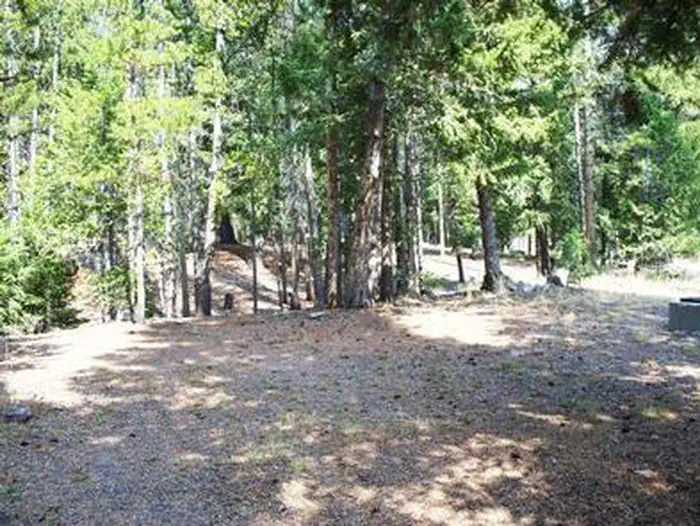 Loristica Group Campground — LORISTICA GROUP CAMPGROUND