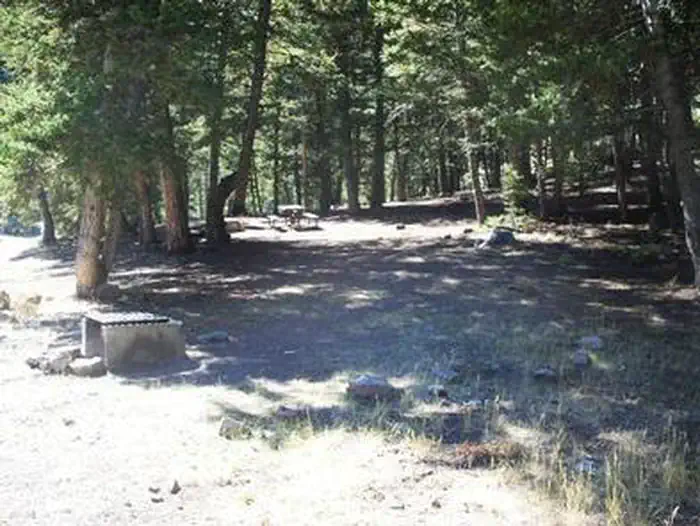 Loristica Group Campground — LORISTICA GROUP CAMPGROUND
