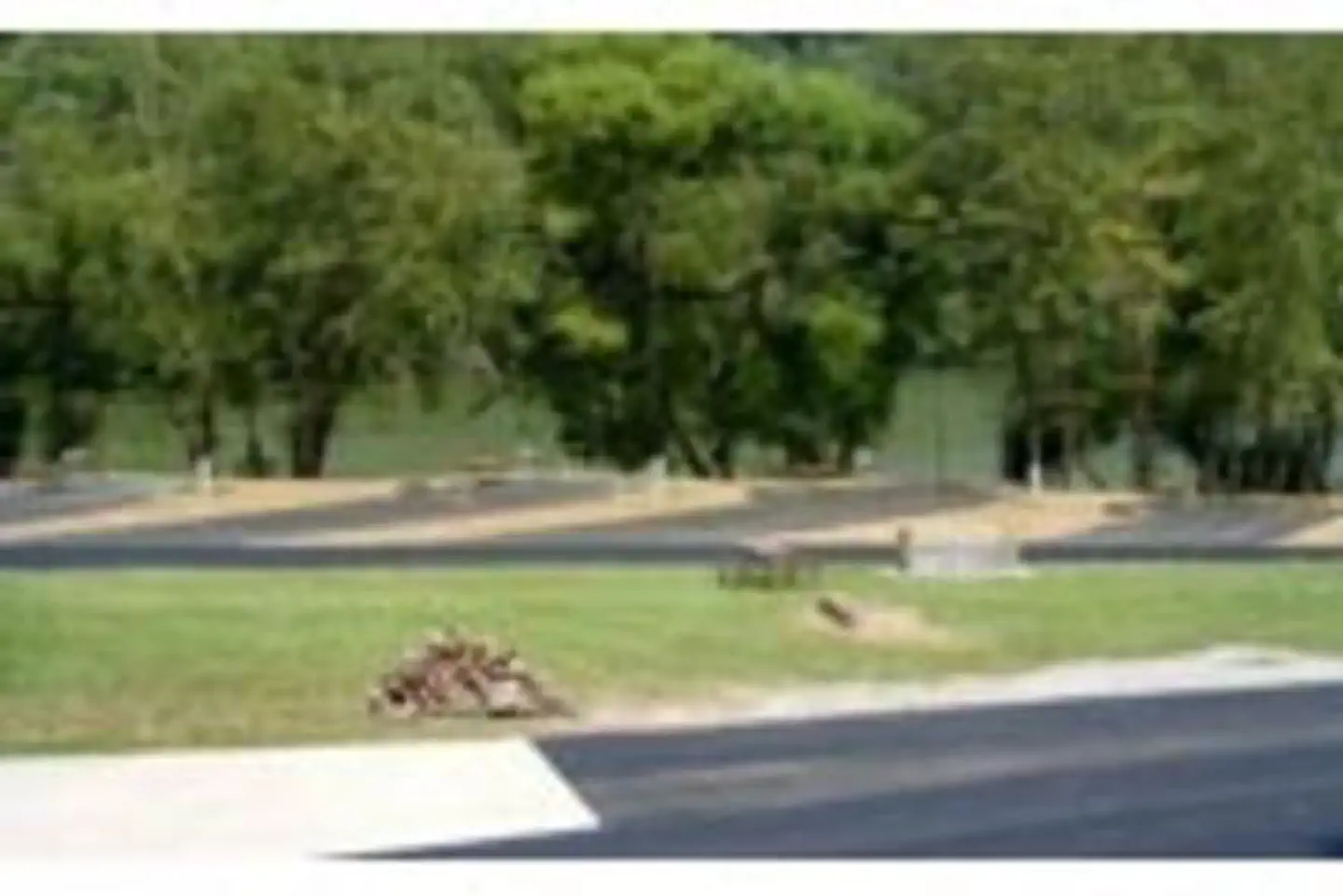 Trace Branch — TRACE BRANCH CAMPGROUND