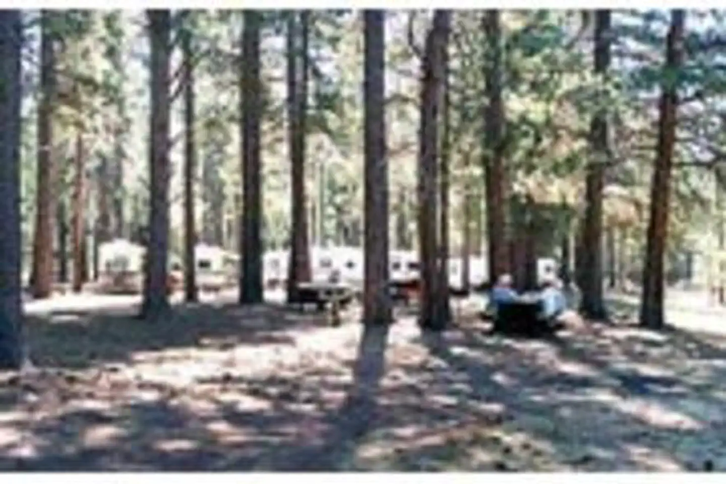 West Eagle Campground — WEST EAGLE CAMPGROUND