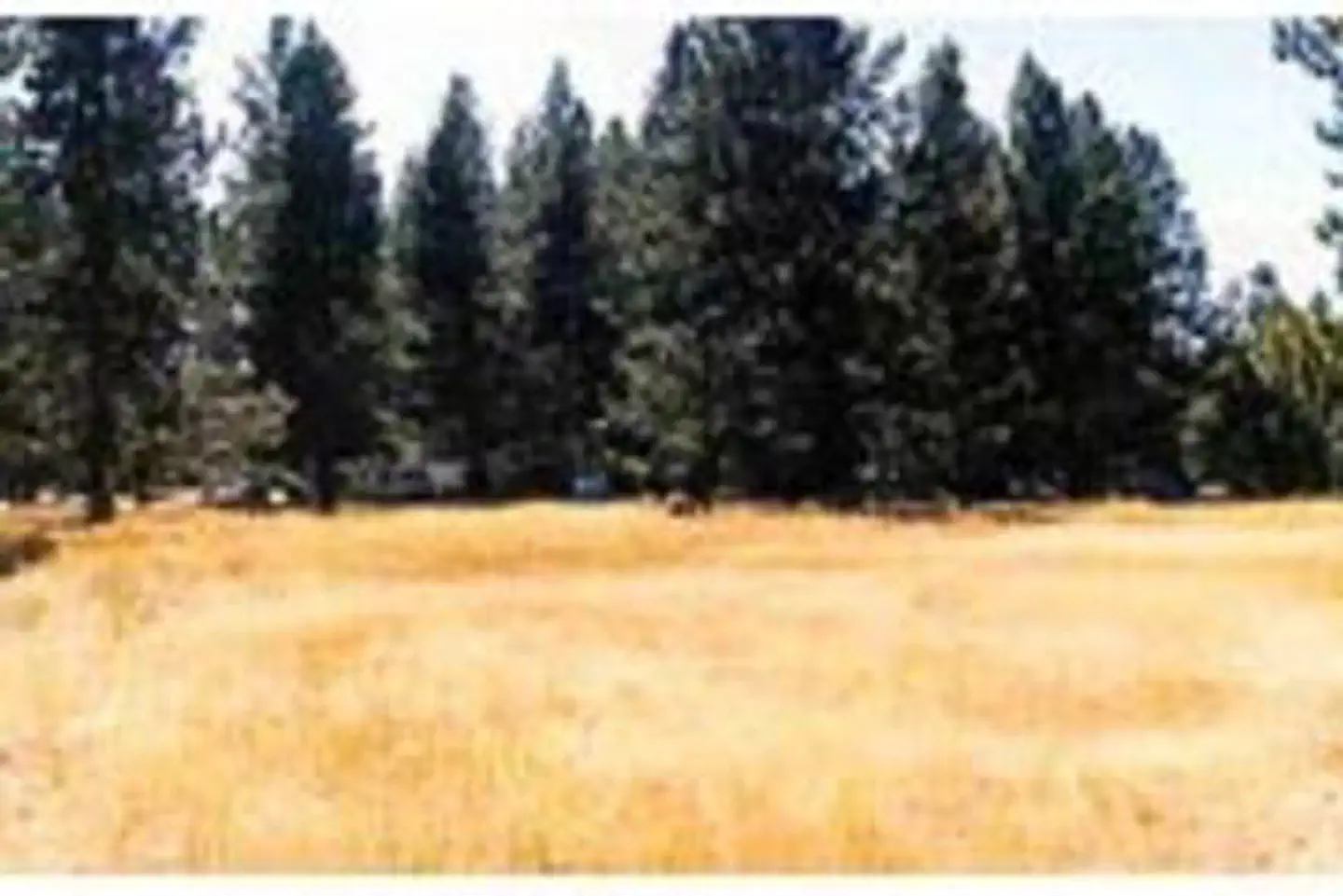 West Eagle Campground — WEST EAGLE CAMPGROUND
