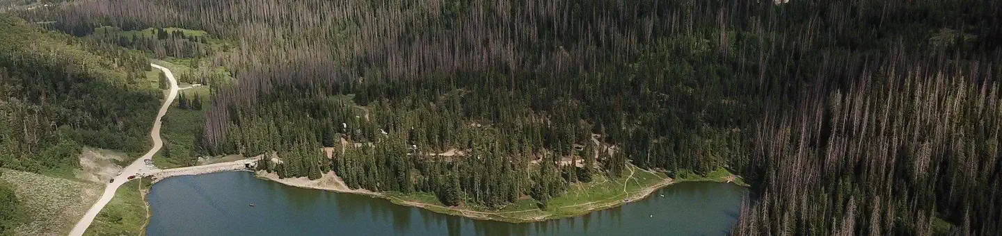 Mill Hollow