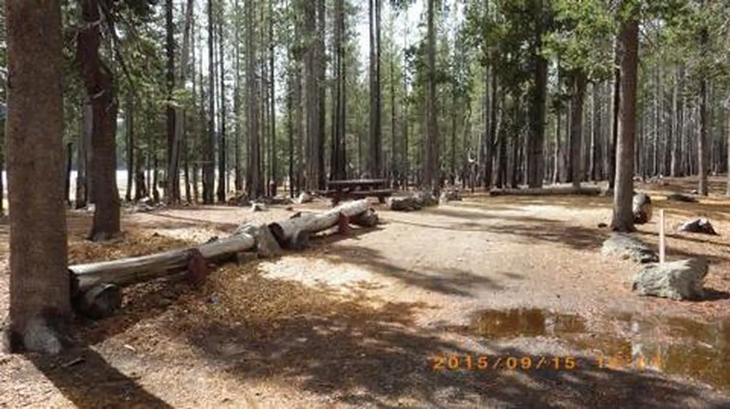 Medicine Lake Campground — MEDICINE LAKE RECREATION AREA