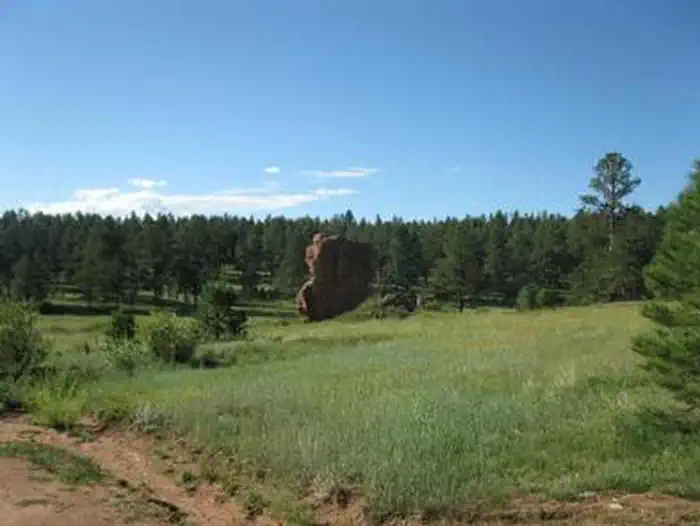 Painted Rocks — PAINTED ROCKS