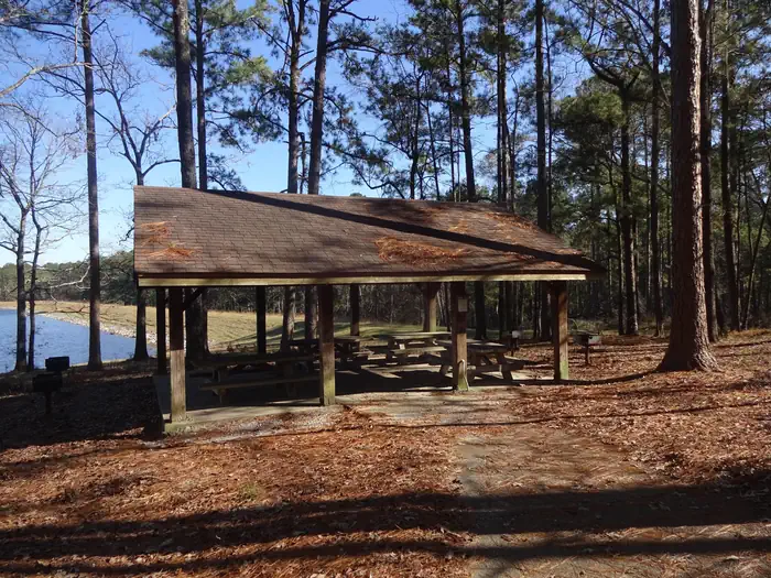 Turkey Fork Recreation Area — Picnic Shelter