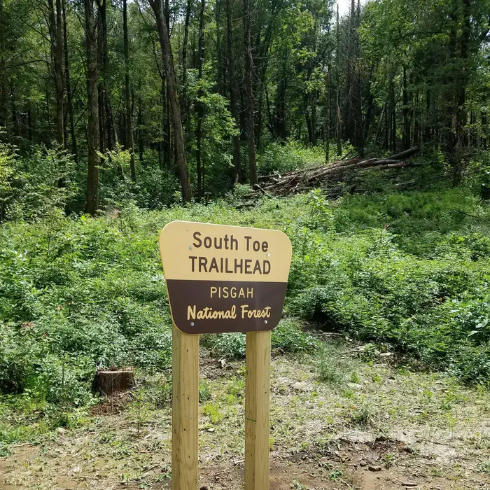Black Mountain Campground — Trailhead sign