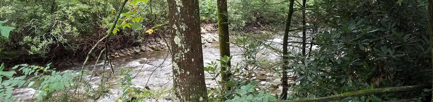 Black Mountain Campground