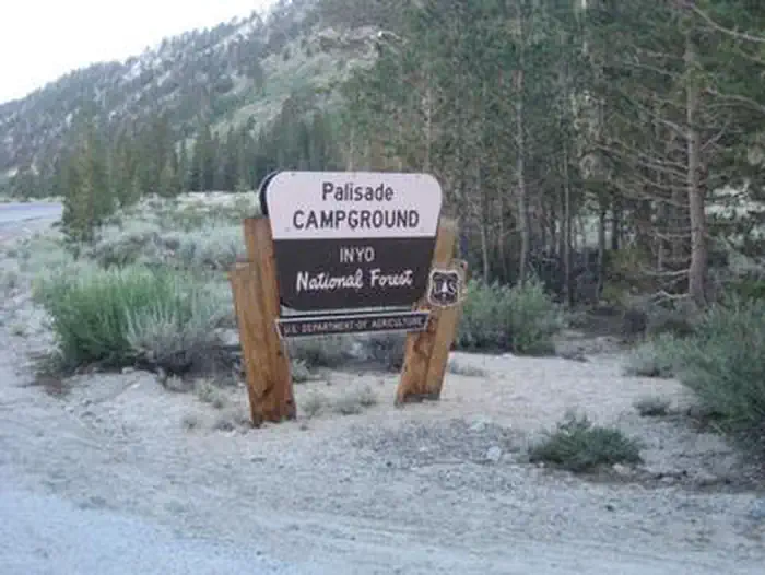 Palisades Group Campground — A brown and yellow Forest Service sign for Palisade Campgroud