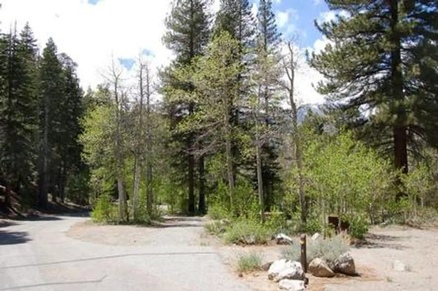 Reversed Creek Campground — REVERSED CREEK CAMPGROUND
