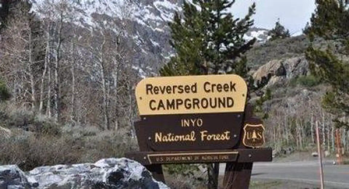 Reversed Creek Campground — REVERSED CREEK CAMPGROUND