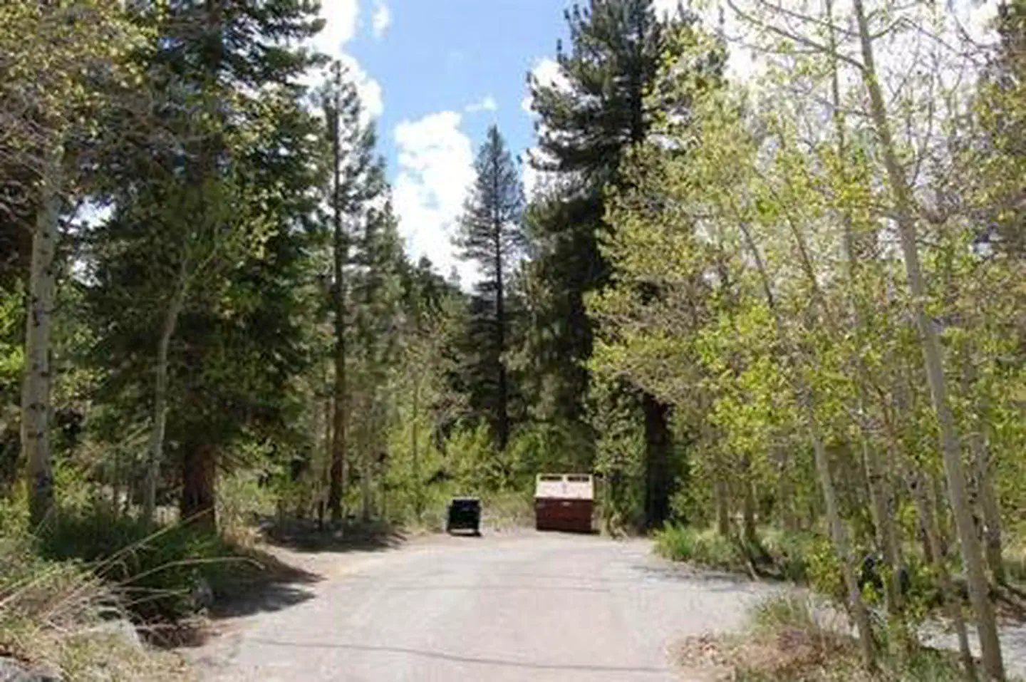 Reversed Creek Campground — REVERSED CREEK CAMPGROUND