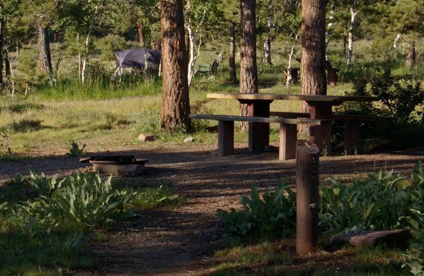 Canyon Rim — This site is has a tent set up in the background. There is a picnic table and fire pit in the non-grassy area. This site offers some shade.
