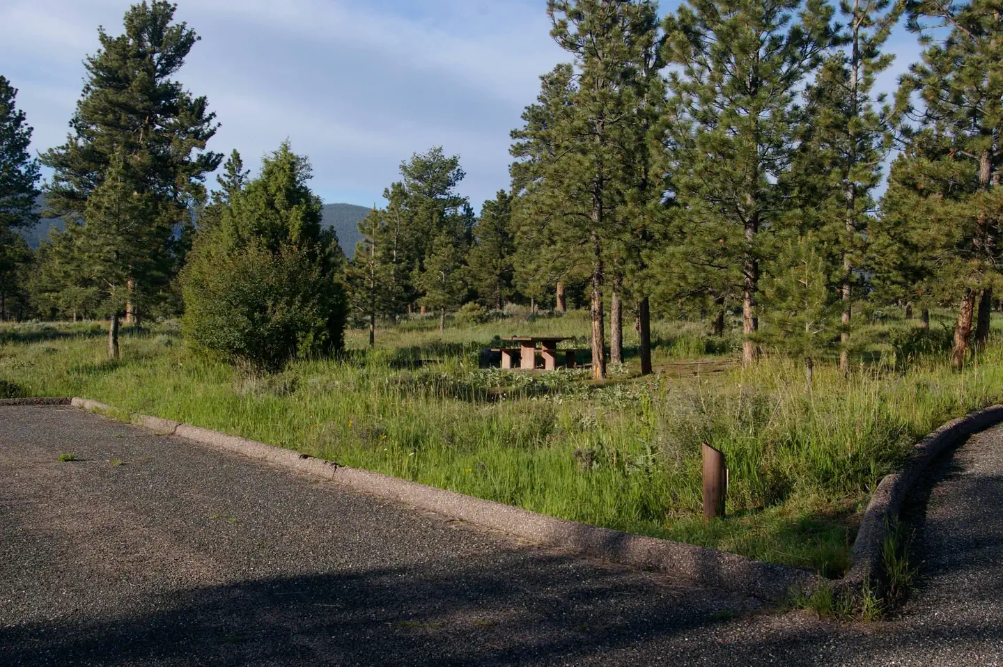 Canyon Rim — This site has a picnic table in a grassy area surrounded by conifers.