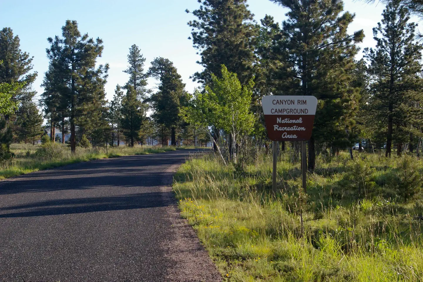 Canyon Rim — Campground sign that is found on the side of the road while driving into the campground.