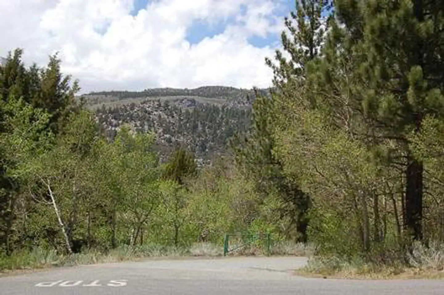 Gull Lake Campground — JUNE LAKE