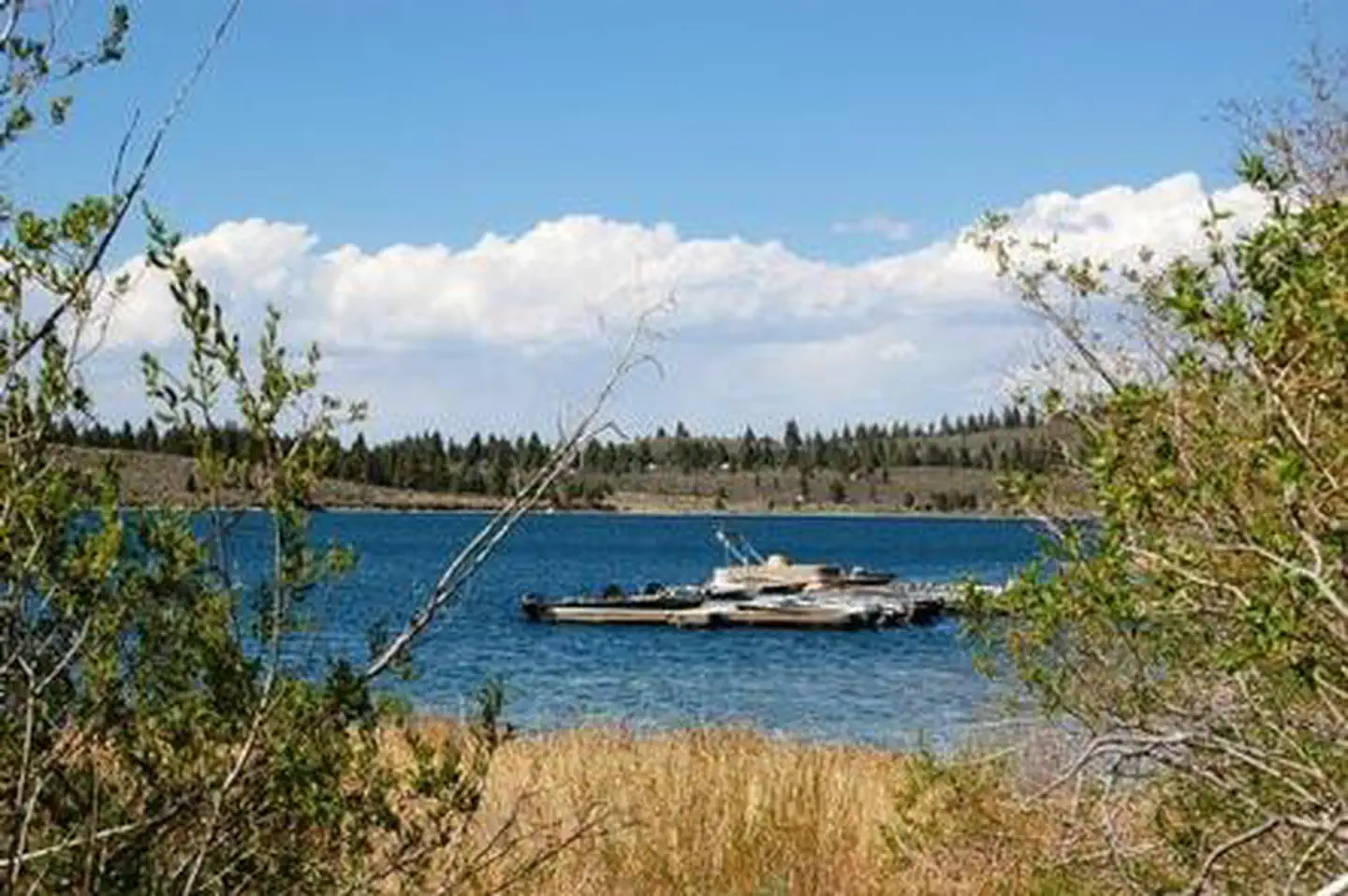 Gull Lake Campground — JUNE LAKE