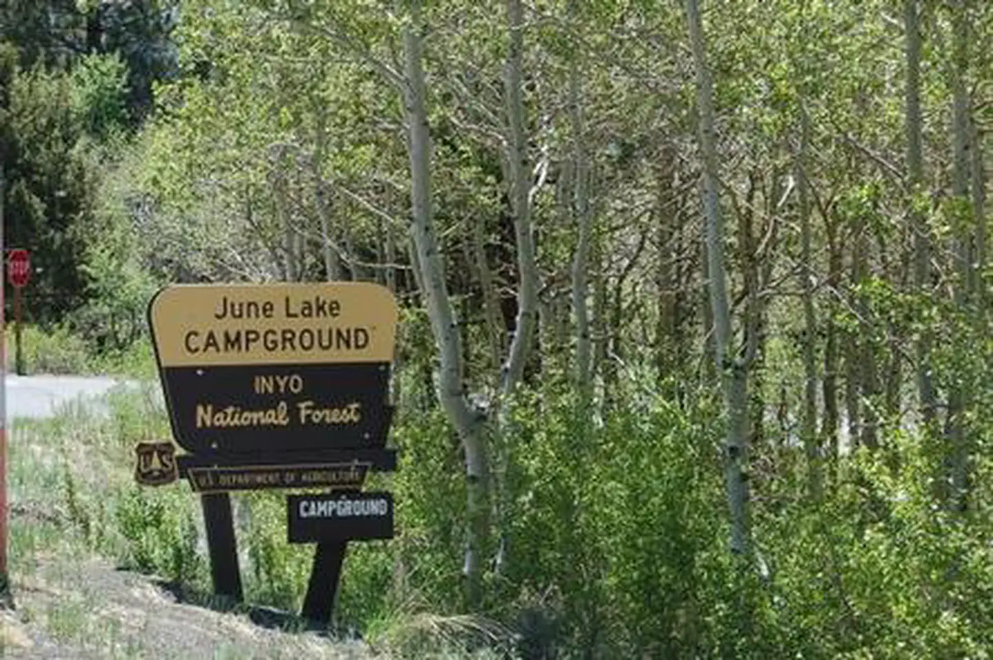 Gull Lake Campground — JUNE LAKE
