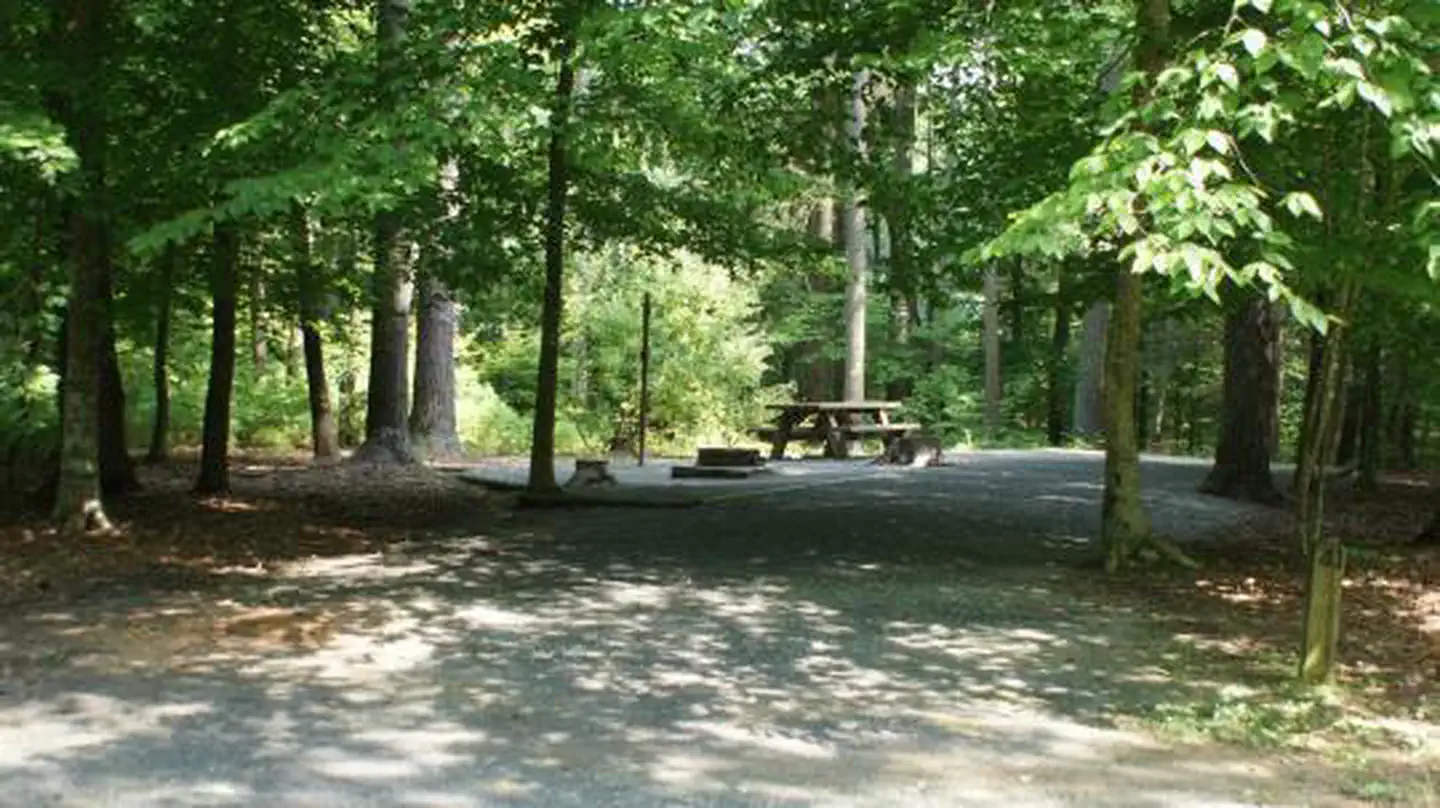 Little Oak Campground — Little Oak Recreation Area