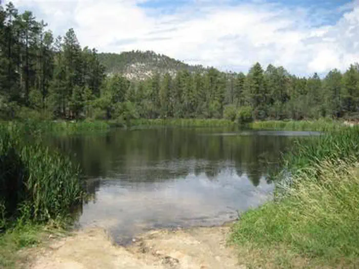 Horsethief Cabin — HORSETHIEF reservoir nestled in the trees with small rocky beach